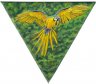   Perroquet jaune en vol 