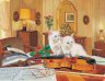   Etude Violon, les chats subjugués 