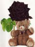   Le nounours et la rose noire 